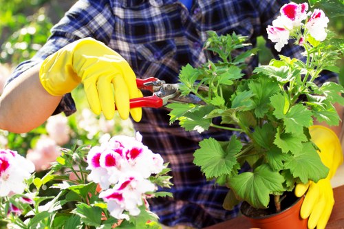 Gardeners Wapping team working safely in a residential garden