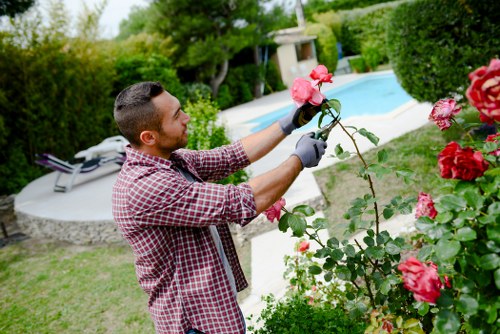 Well-maintained urban lawn in Wapping after repair