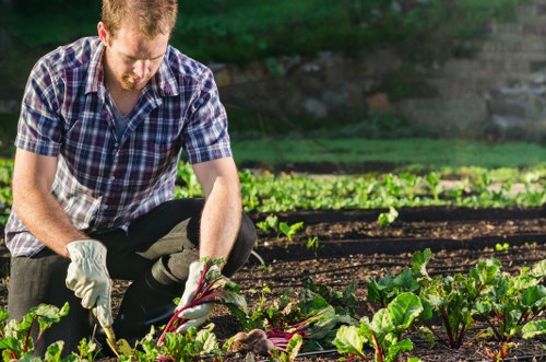 Gardener assessing safety before starting outdoor work