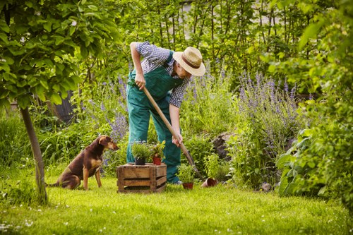 Residential garden improvement services in Wapping