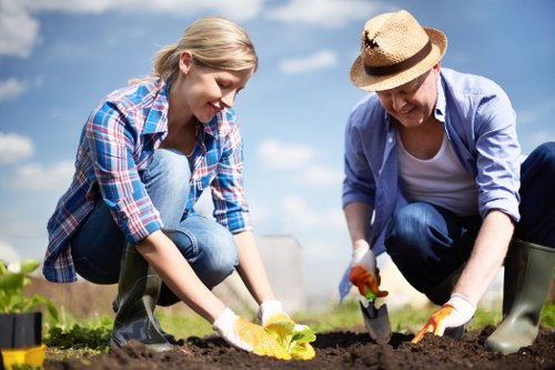 Image representing a detailed review of gardening concerns