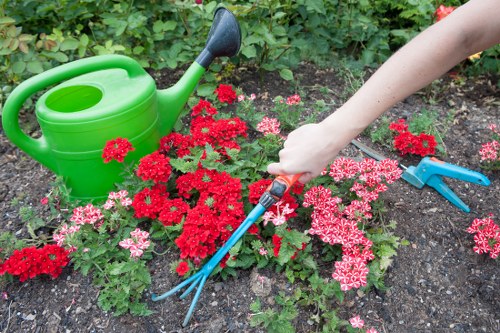 Garden clearance service clearing overgrown outdoor space in Wapping