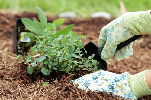 Updated cookie policy information for Wapping gardening website