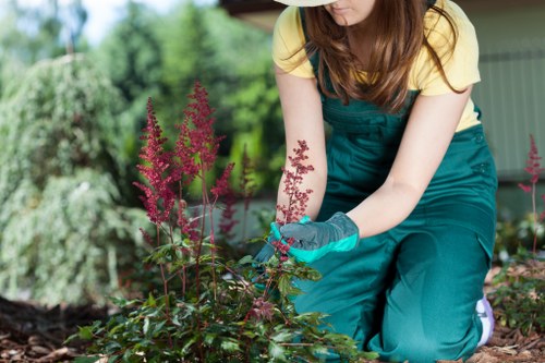 Supplier audit and ethical compliance review