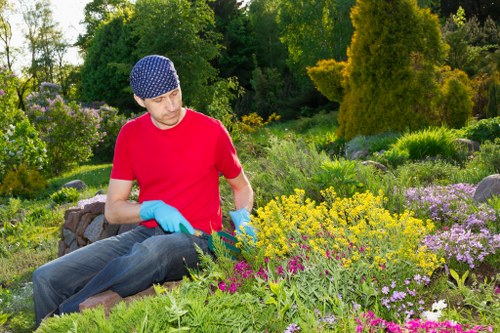Tidy privacy hedge improving a Wapping outdoor space