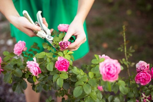 Seasonal planting ideas for Wapping outdoor spaces