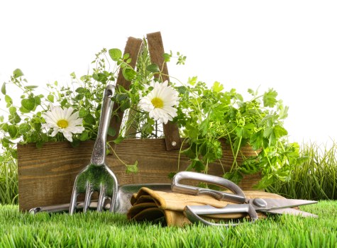 Seasonal garden upkeep for a Wapping property