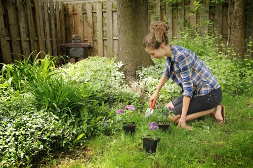 Wapping garden maintenance with seasonal planting and structure