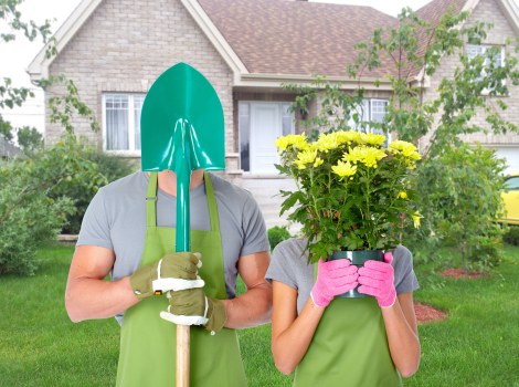 Green waste collected after a gardening job