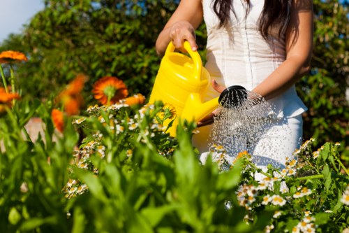 Seasonal garden care for homes in Wapping