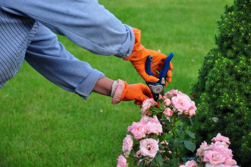 Illustration representing screen-reader friendly gardening content