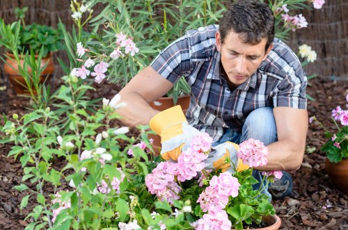 Urban garden design features suited to Wapping properties