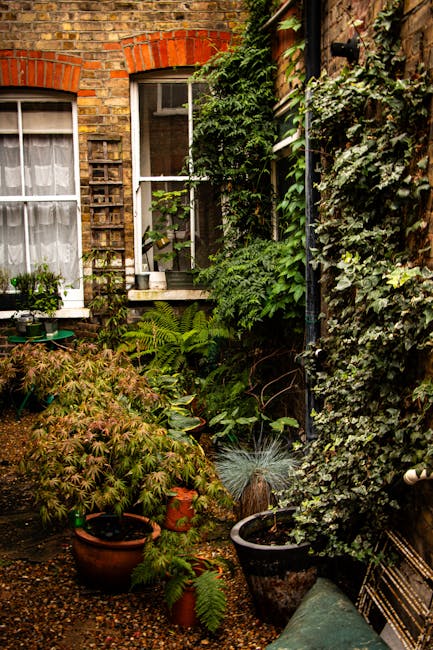 A small, lush backyard garden adjacent to a brick building with white-framed windows, featuring a variety of potted plants including ferns and ornamental grasses placed on the ground and mounted shelv