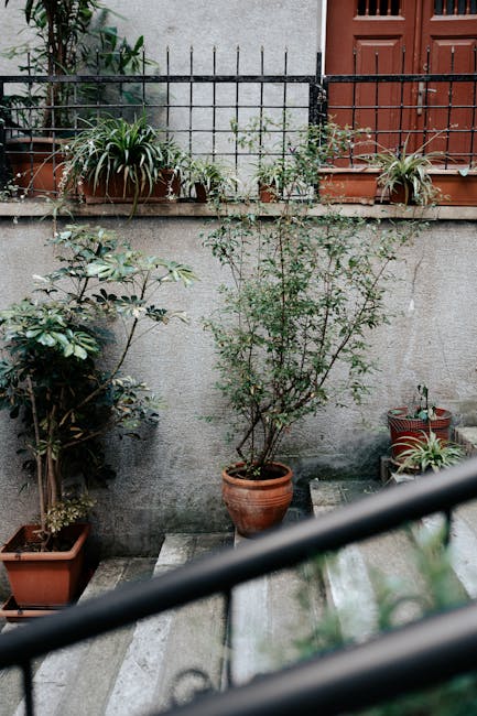 A small, lush backyard garden adjacent to a brick building with white-framed windows, featuring a variety of potted plants including ferns and ornamental grasses placed on the ground and mounted shelv