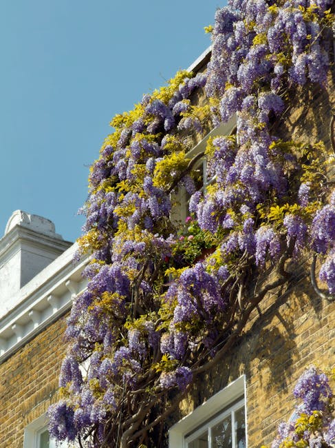 A narrow cobblestone street in Wapping High Street lined with multi-storey brick and white-painted residential buildings. The buildings feature large sash windows, some with white frames and flower bo